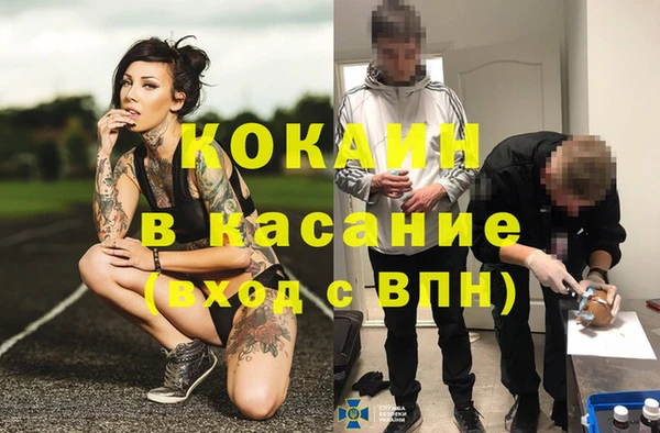 шишки Рославль
