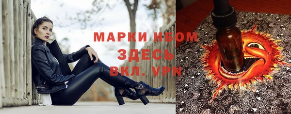 шишки Рославль