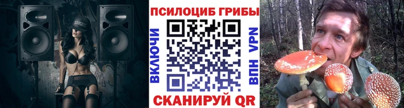 купить наркотик  Богучар  Псилоцибиновые грибы мухоморы 